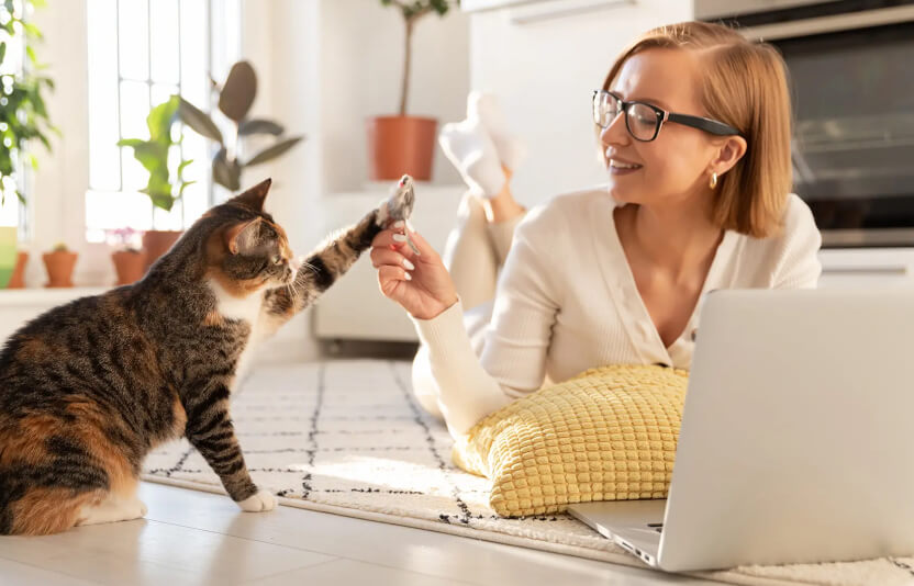 Клиент играет с кошкой